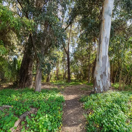 Apartman Cubo's Cabopino *