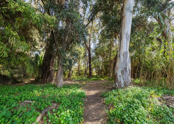 Apartamento Cubo's Cabopino *